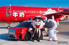 过年开“旺车”？大型豪华汽车推荐新思路，看